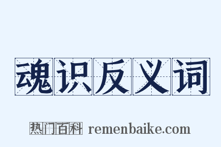 魂识反义词是什么意思的图片